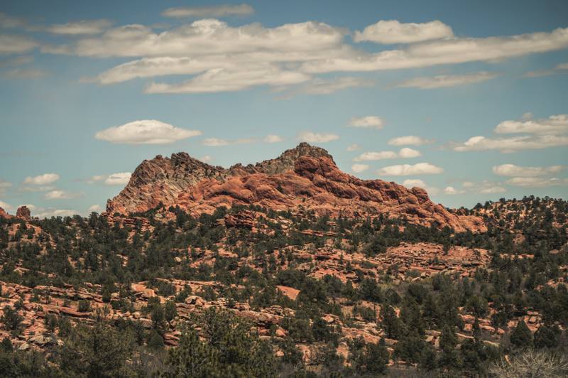 Red rock formations and ponderosa pines under a blue Colorado sky